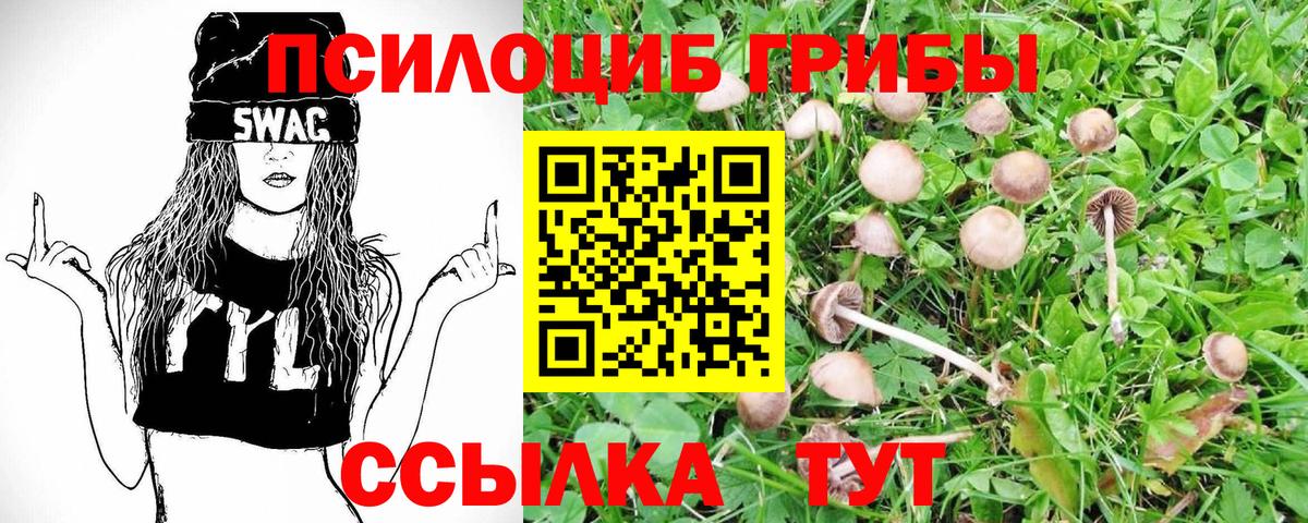Галлюциногенные грибы мухоморы  Вход с VPN  Кузнецк 