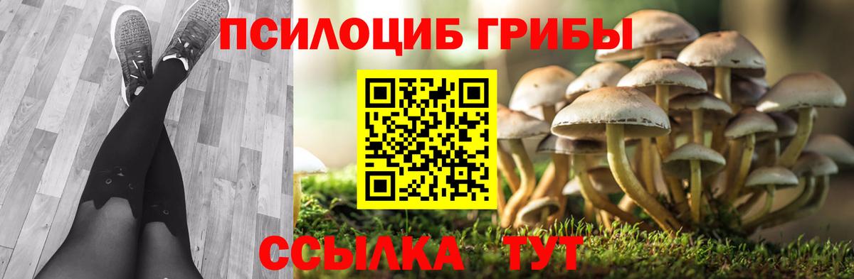 Псилоцибиновые грибы Cubensis Кузнецк