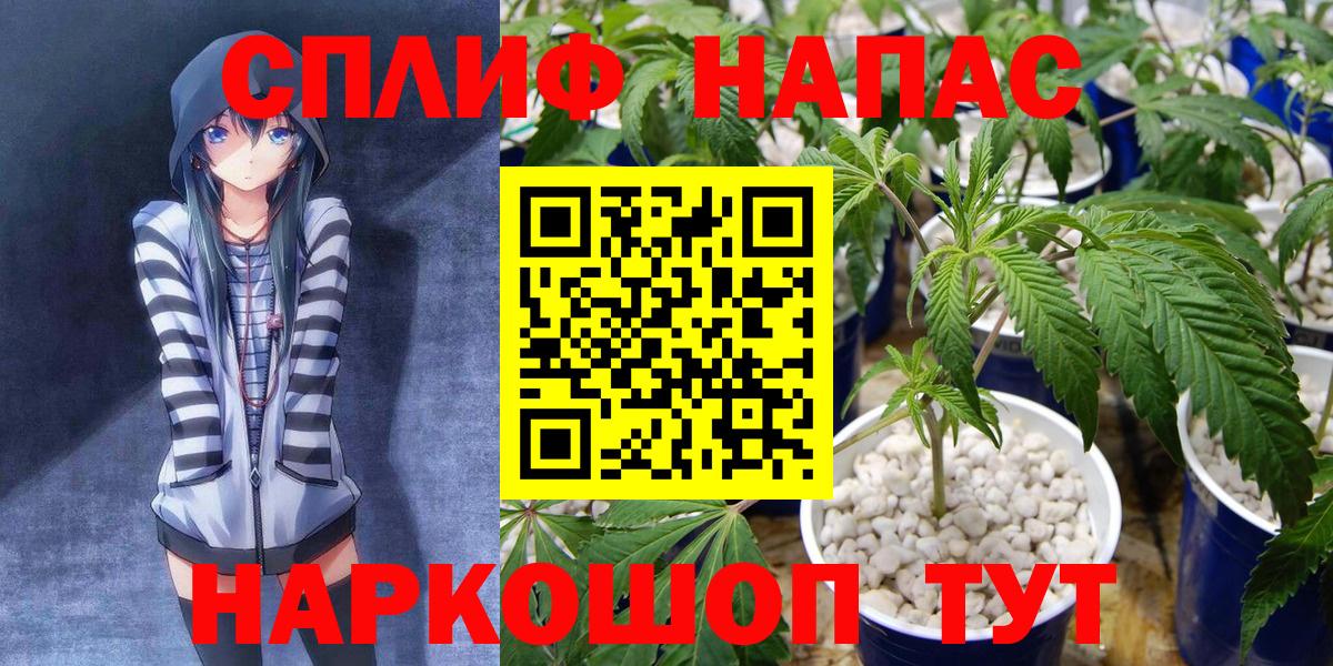 МАРИХУАНА THC 21%  Бошки марихуана планчик  Кузнецк  Конопля OG Kush  Вход с VPN  МАРИХУАНА сатива 